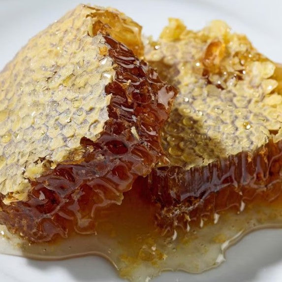 Close-up of honeycomb with honey on a white background