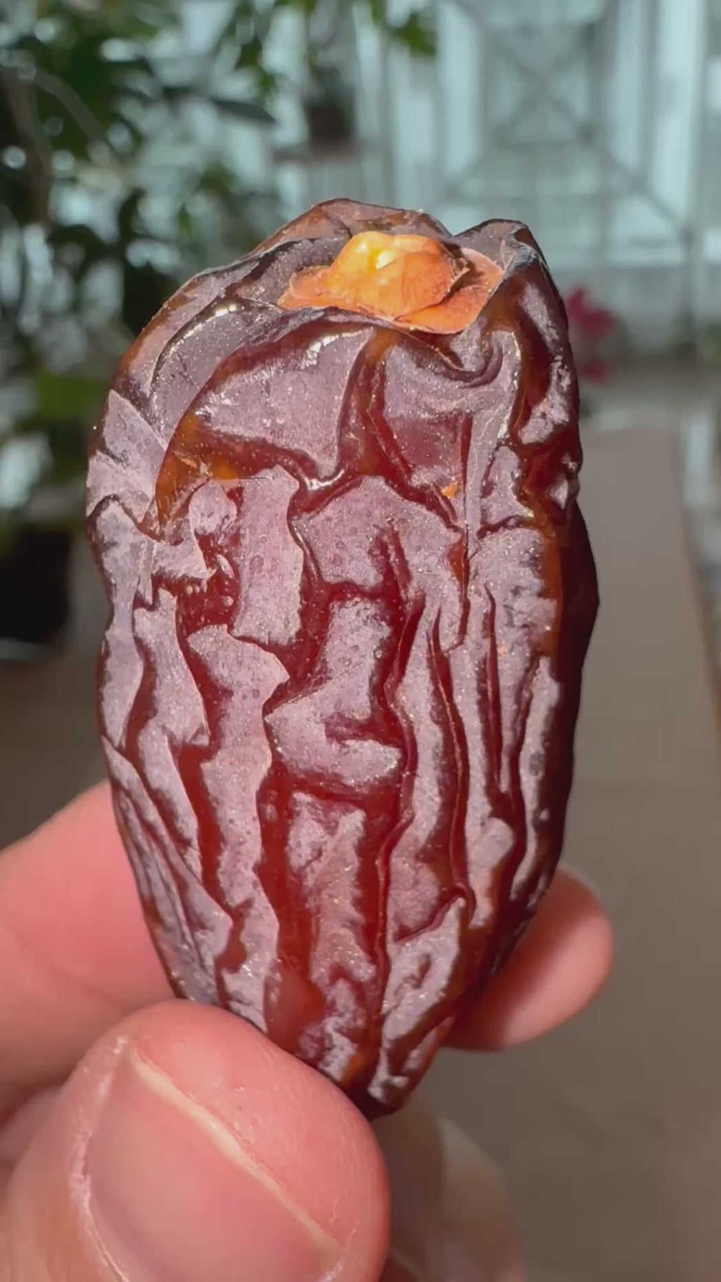 MISRDELIGHTS medjool dates Singapore